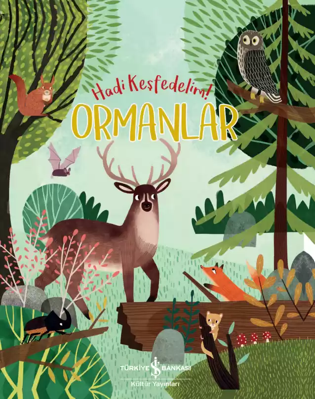 Ormanlar – Hadi Keşfedelim! kapağı