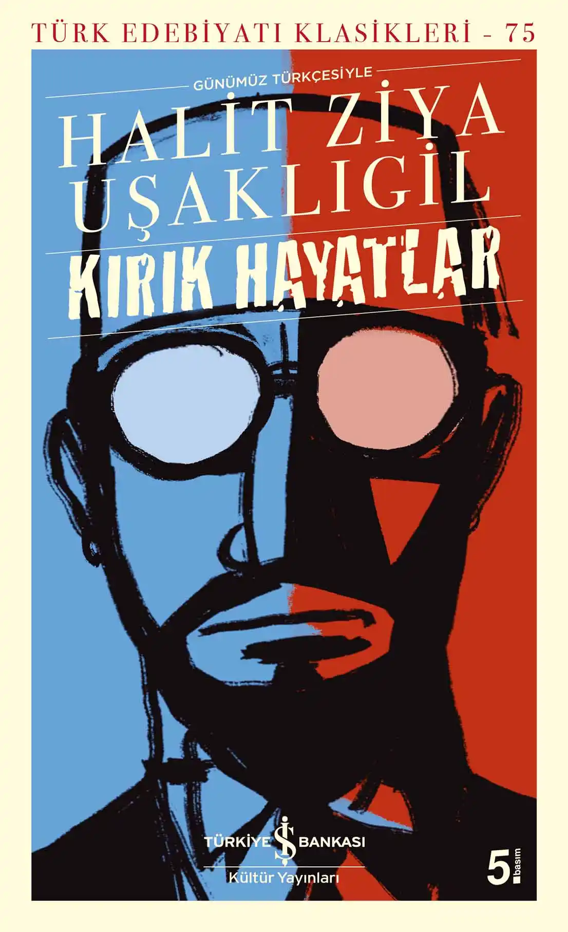 Kırık Hayatlar kapağı