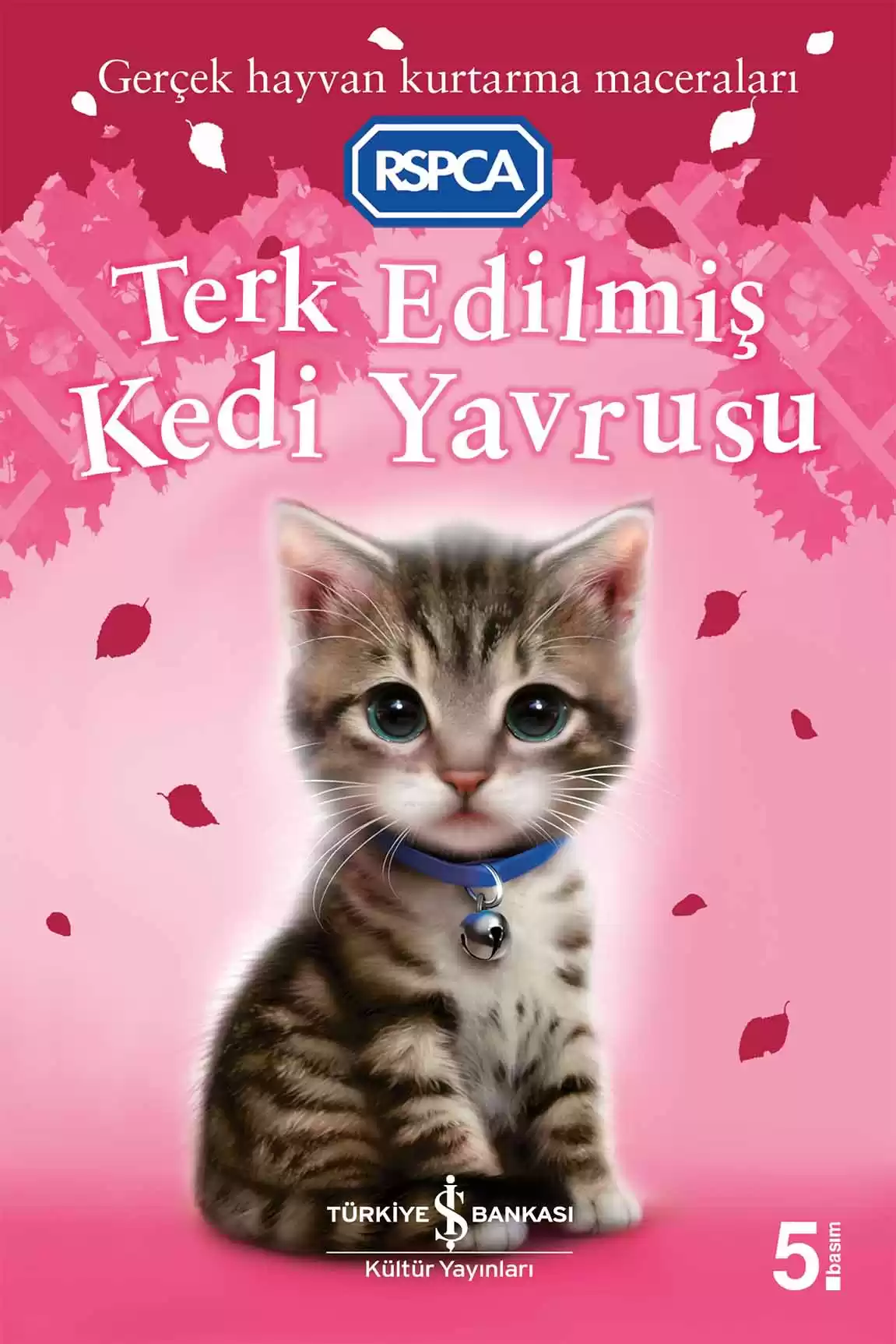 Terk Edilmiş Kedi Yavrusu kapağı