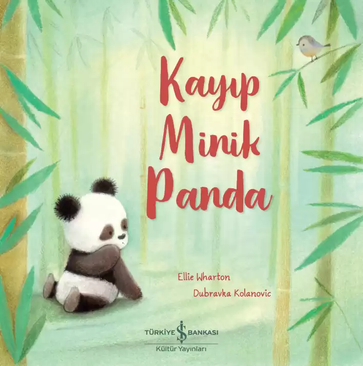 Kayıp Minik Panda kapağı
