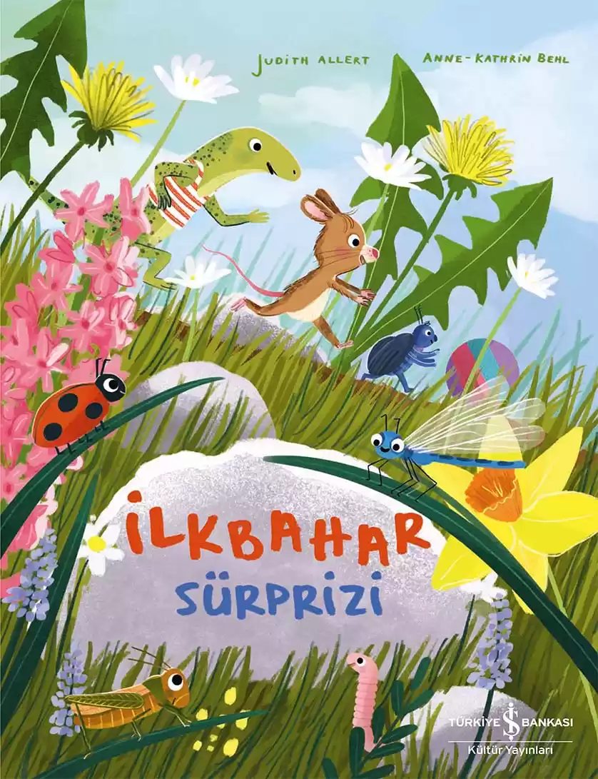 İlkbahar Sürprizi kapağı