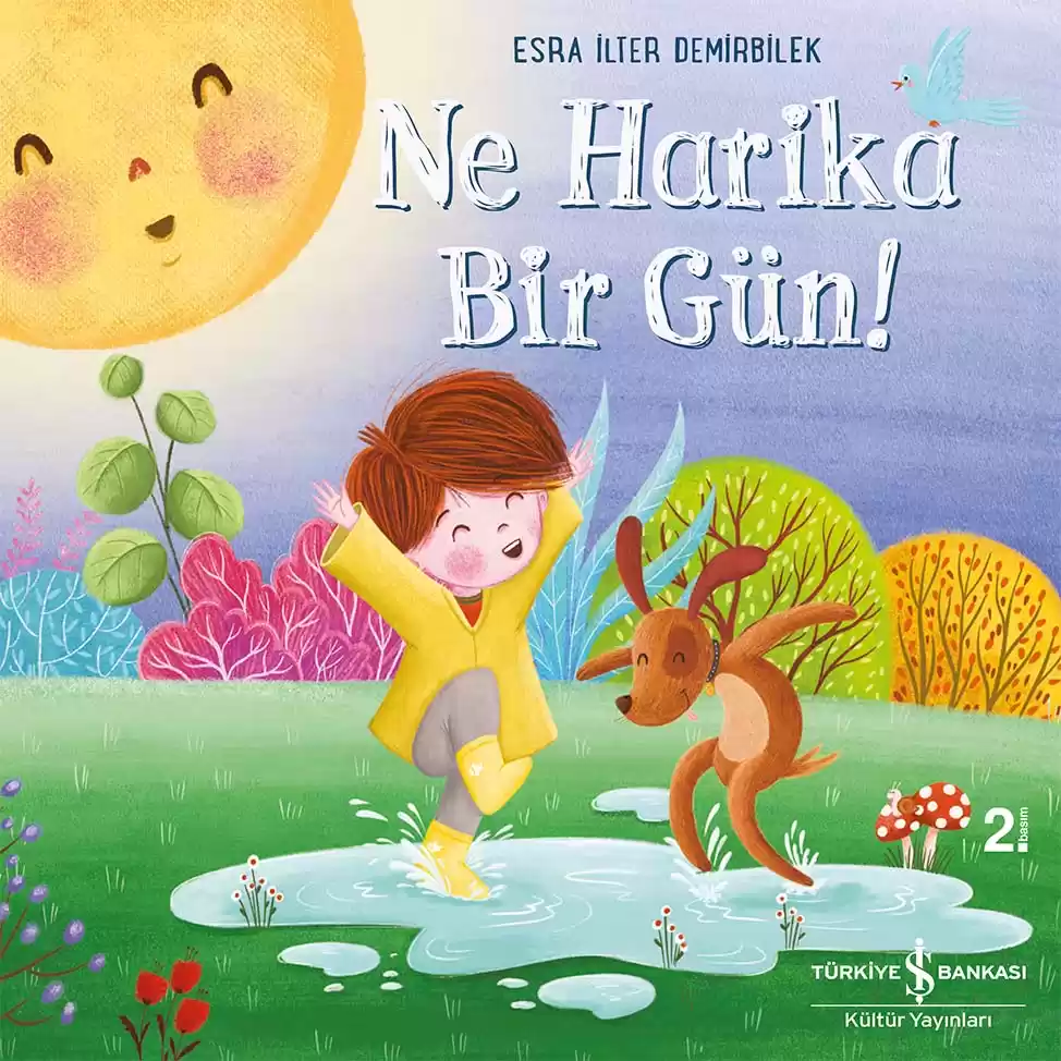 Ne Harika Bir Gün! kapağı
