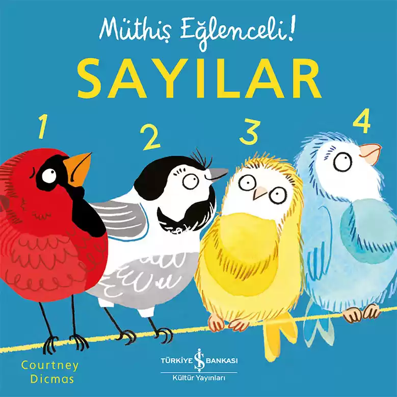 Sayılar – Müthiş Eğlenceli! kapağı