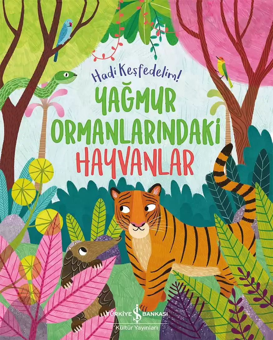 Yağmur Ormanlarındaki Hayvanlar – Hadi Keşfedelim! kapağı