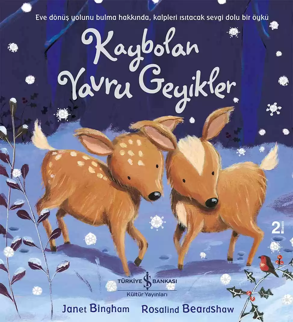 Kaybolan Yavru Geyikler kapağı