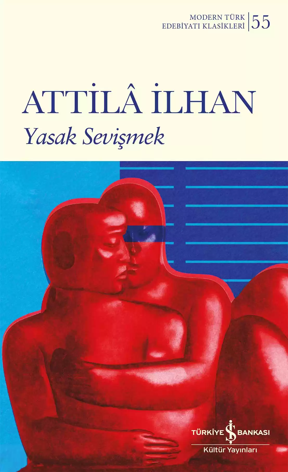 Yasak Sevişmek kapağı