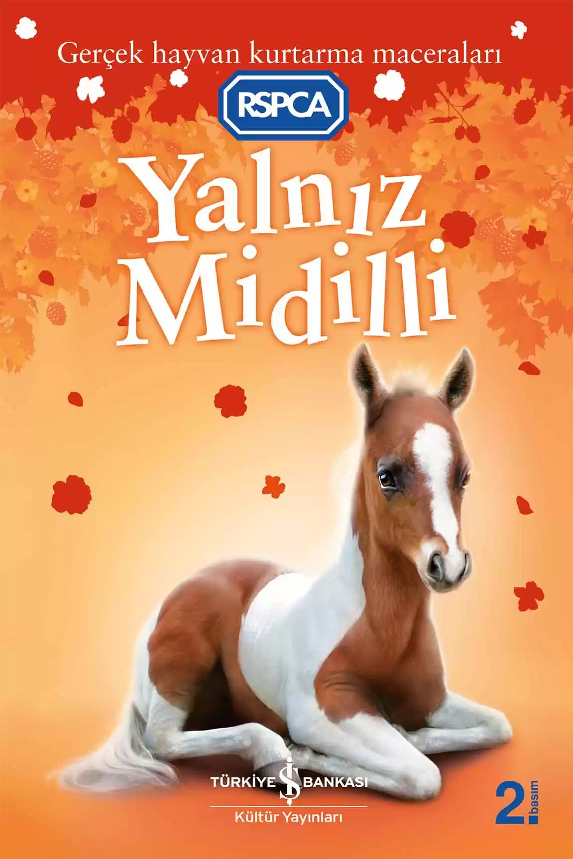 Yalnız Midilli kapağı