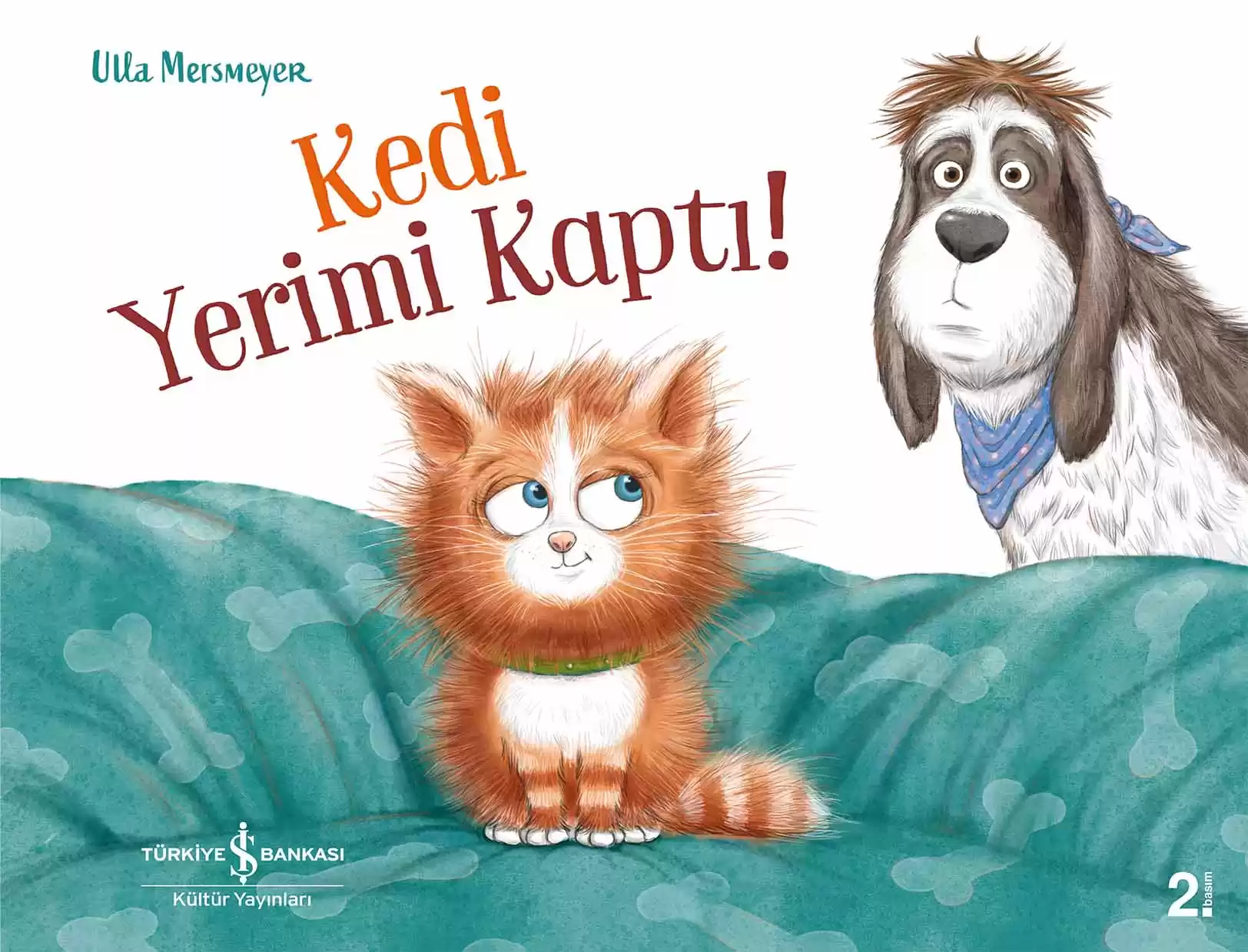 Kedi Yerimi Kaptı! kapağı