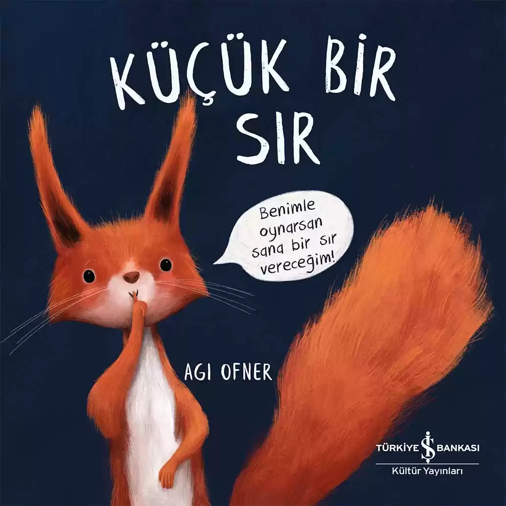 Küçük Bir Sır kapağı
