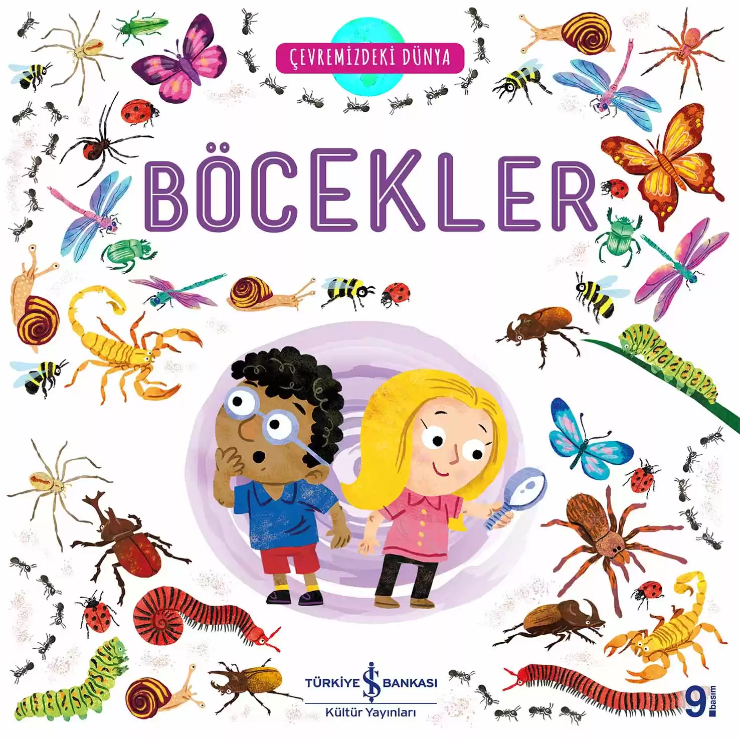 Çevremizdeki Dünya Böcekler kapağı