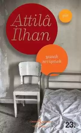 Yasak Sevişmek kapağı