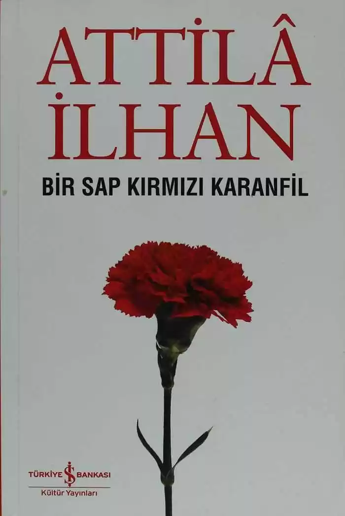 Bir Sap Kırmızı Karanfil kapağı