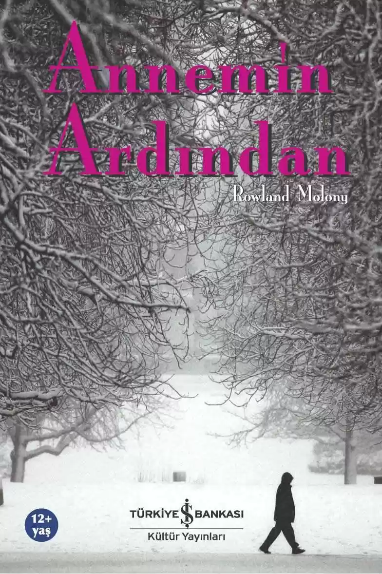 Annemin Ardından kapağı