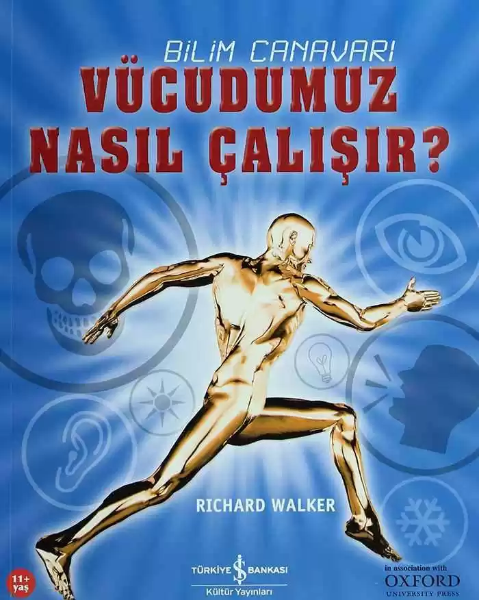 Vücudumuz Nasıl Çalışır? kapağı