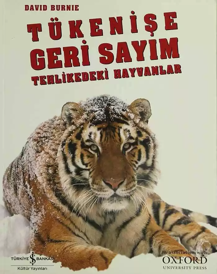 Tükenişe Geri Sayım kapağı