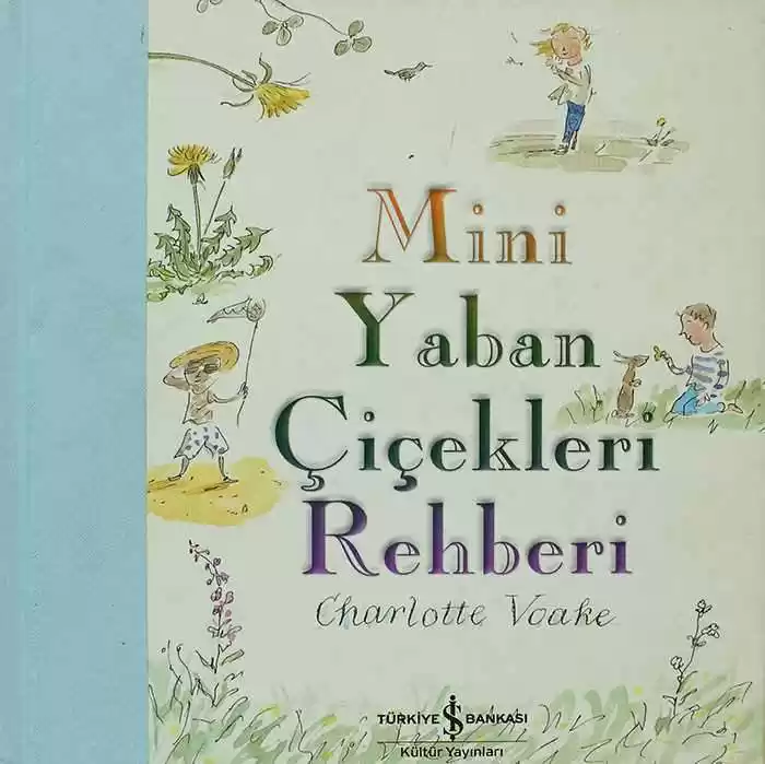 Mini Yaban Çiçekleri Rehberi kapağı