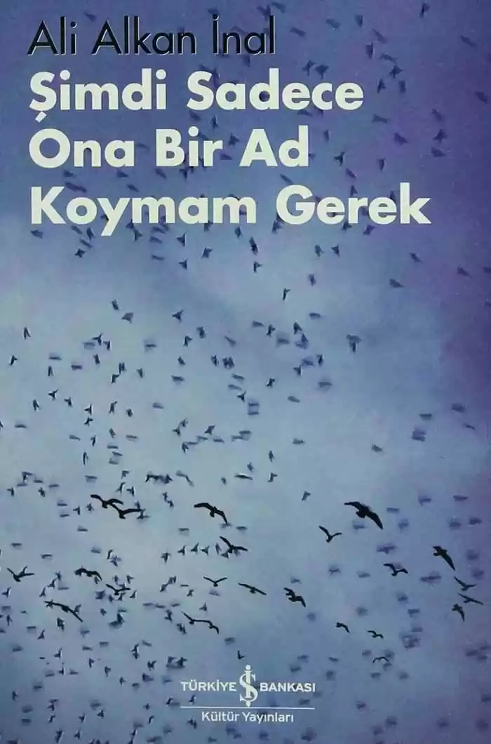Şimdi Sadece Ona Bir Ad Koymam Gerek kapağı