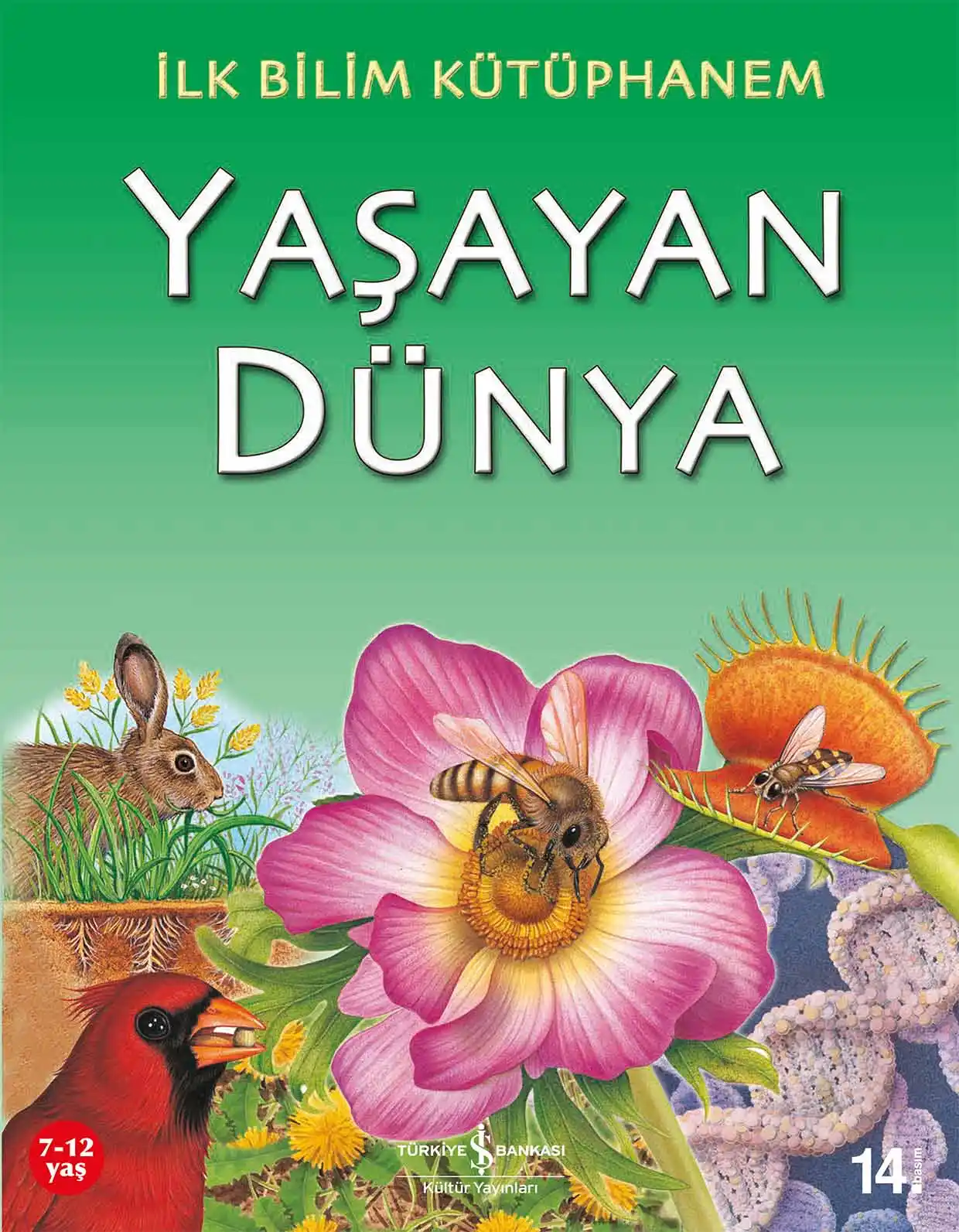 İlk Bilim Kütüphanem – Yaşayan Dünya kapağı