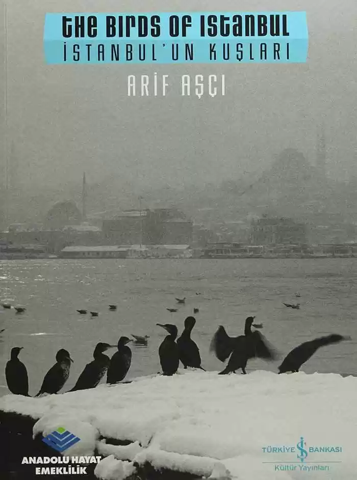 İstanbul’un Kuşları / The Birds of Istanbul kapağı