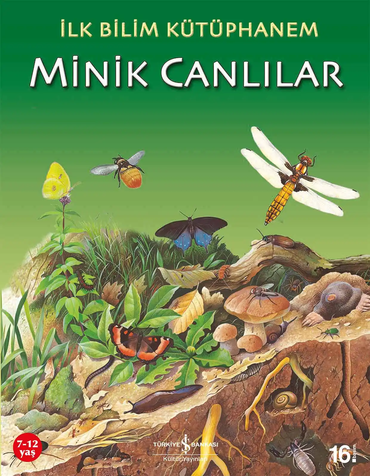 İlk Bilim Kütüphanem – Minik Canlılar kapağı